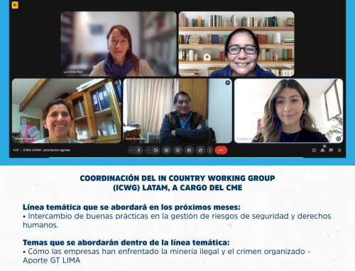 CME lidera segunda sesión del Grupo de Trabajo de América Latina de los Principios Voluntarios